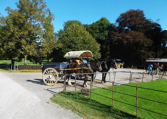 No 1 Village Vacation *